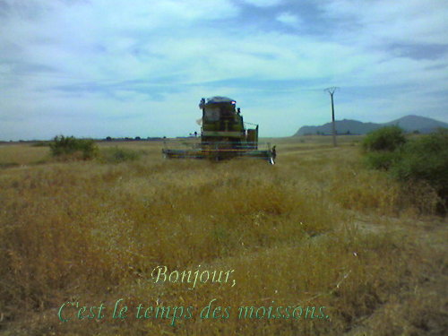voir l'image en taille réelle