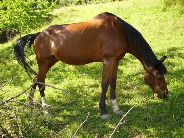 Image hébergée par Casimages.com : votre hébergeur d images simple et gratuit