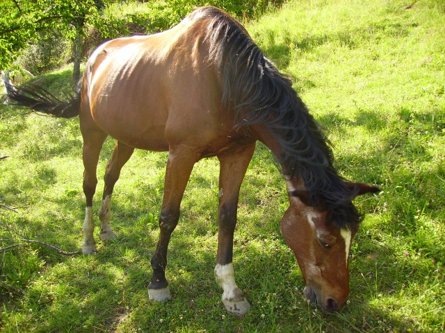 Image hébergée par Casimages.com : votre hébergeur d images simple et gratuit