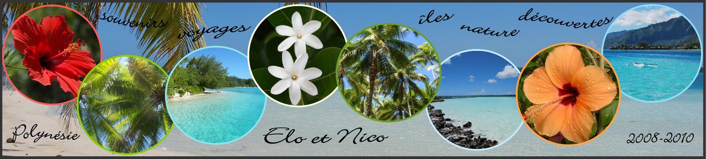 Elo et Nico