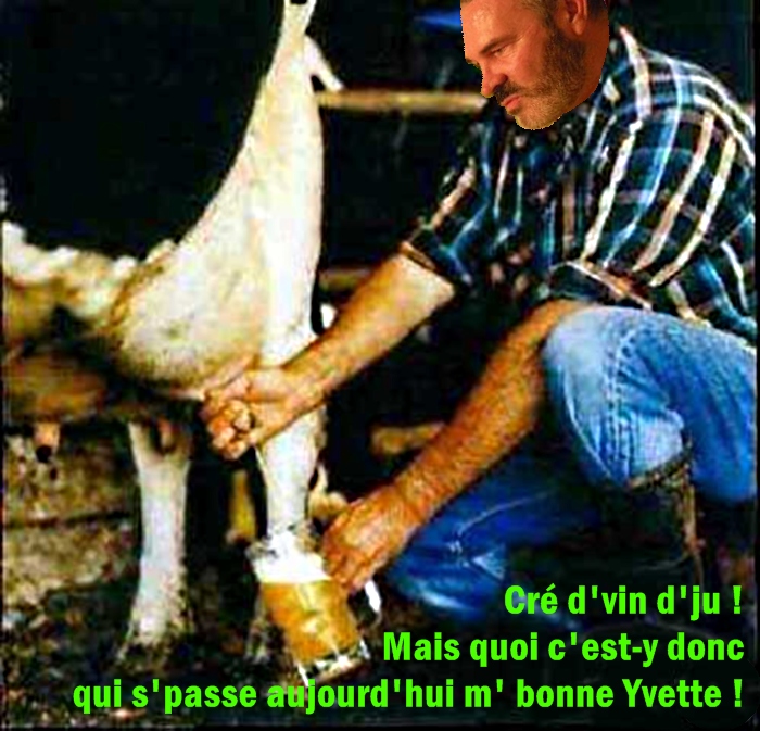 http://nsm01.casimages.com/img/2009/06/30/090630072002508193983688.jpg