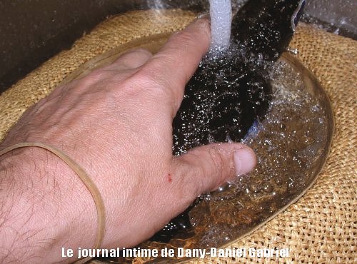 biere chapeau eau