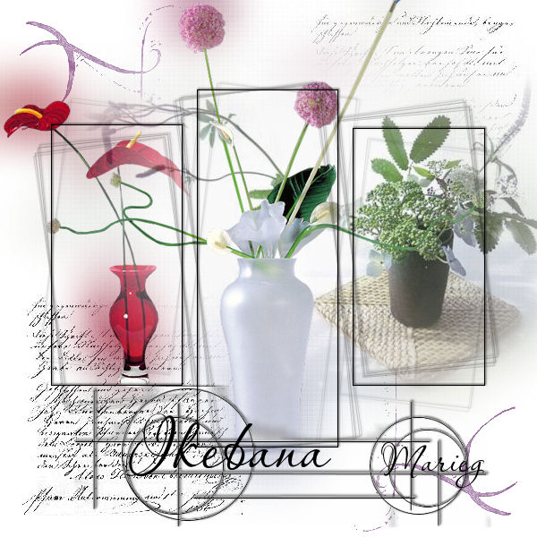 Image hébergée par Casimages.com : votre hébergeur d images simple et gratuit