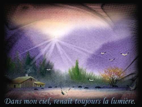 voir l'image en taille réelle