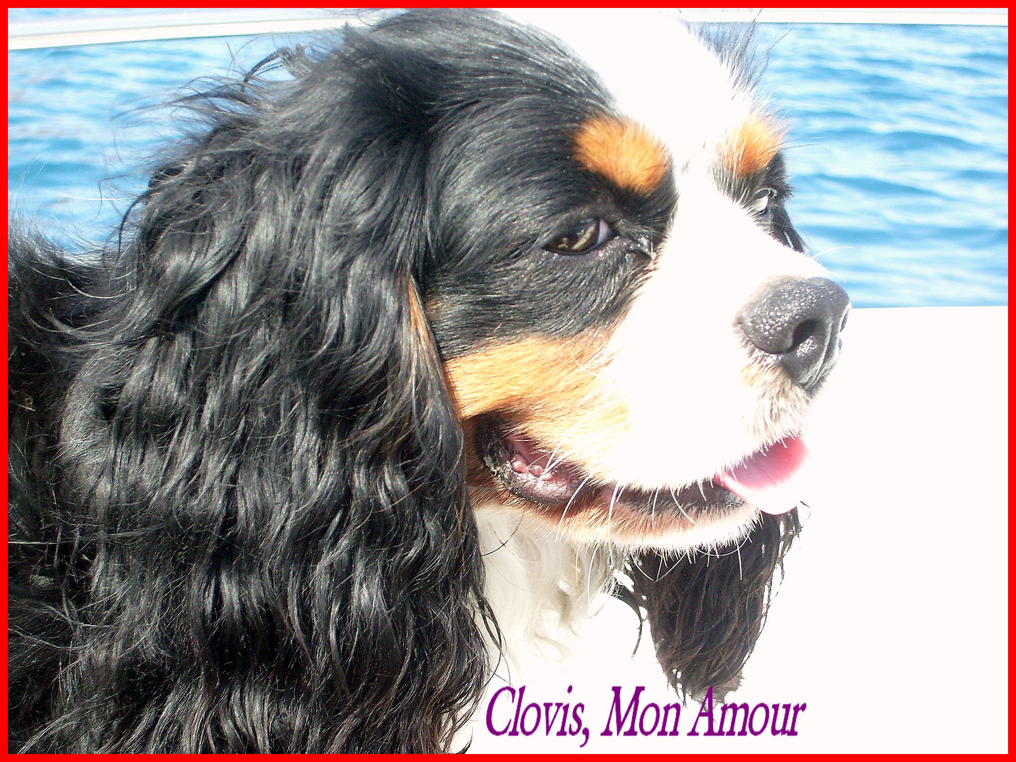 Image h�berg�e par Casimages.com : votre h�bergeur d images simple et gratuit