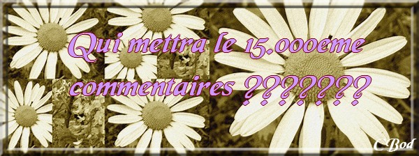Image hébergée par Casimages.com : votre hébergeur d images simple et gratuit