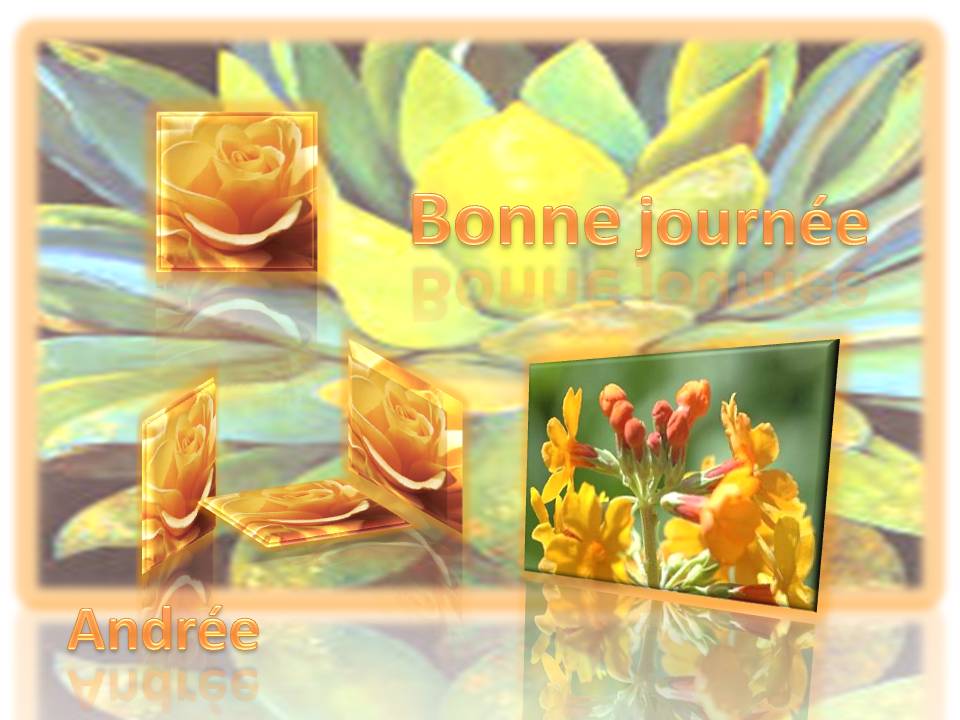 Image hébergée par Casimages.com : votre hébergeur d images simple et gratuit