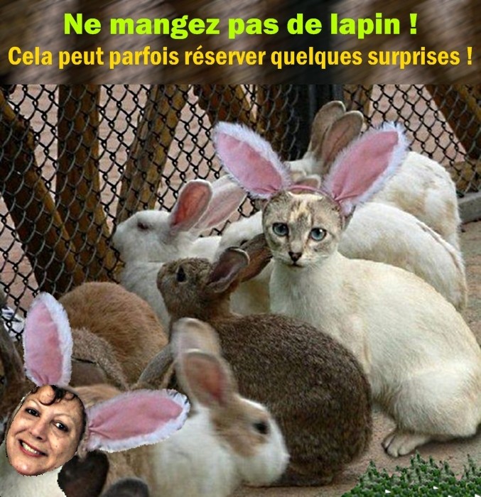 http://nsm01.casimages.com/img/2009/07/01/090701054908508193989585.jpg