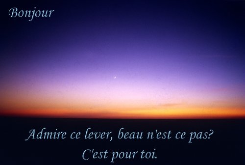 voir l'image en taille réelle