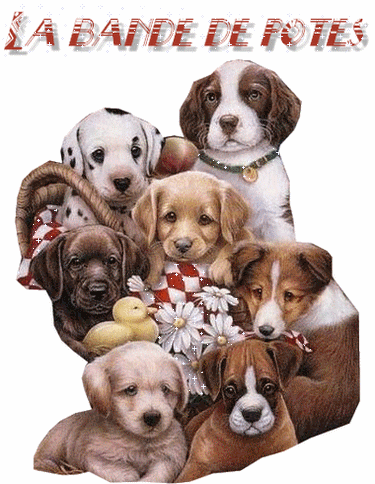 Image hébergée par Casimages.com : votre hébergeur d images simple et gratuit