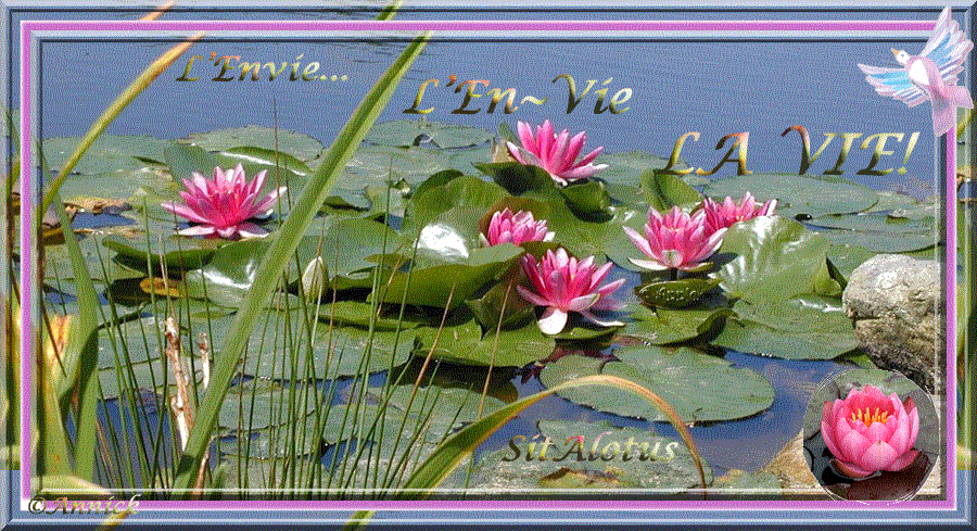 Image hébergée par Casimages.com : votre hébergeur d images simple et gratuit