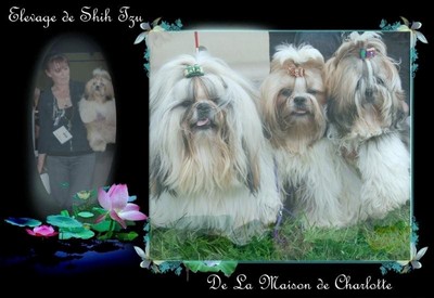 Image h�berg�e par Casimages.com : votre h�bergeur d images simple et gratuit