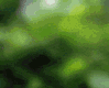 http://nsm01.casimages.com/img/2009/07/04//090704064539221004007545.gif