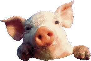 Image hébergée par Casimages.com : votre hébergeur d images simple et gratuit