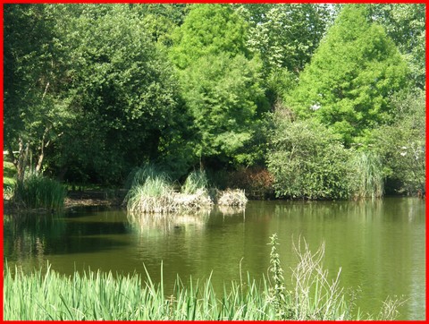 Image hébergée par Casimages.com : votre hébergeur d images simple et gratuit