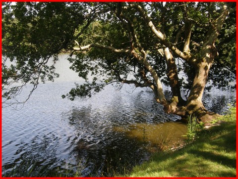Image hébergée par Casimages.com : votre hébergeur d images simple et gratuit