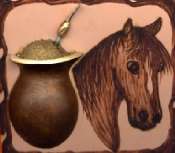 avatarTche