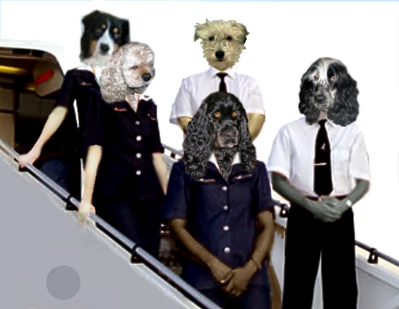 Image hébergée par Casimages.com : votre hébergeur d images simple et gratuit