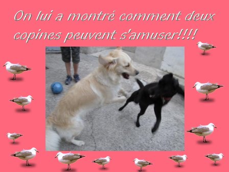 voir l'image en taille r�elle