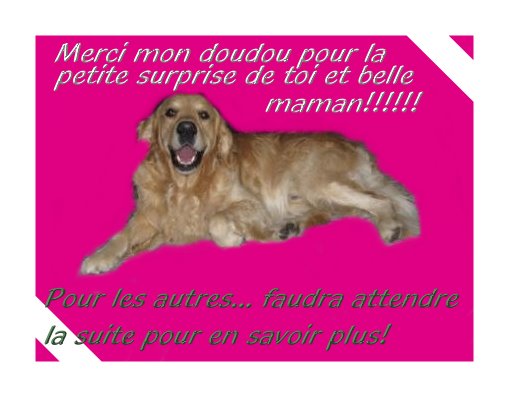 voir l'image en taille r�elle