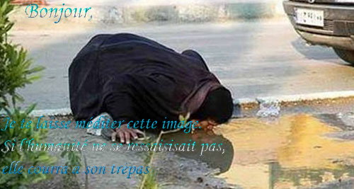 voir l'image en taille réelle