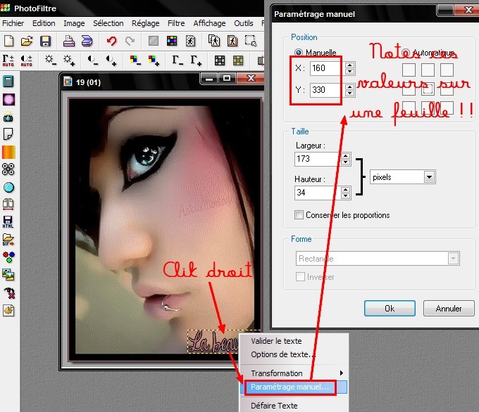 Astucemontage1