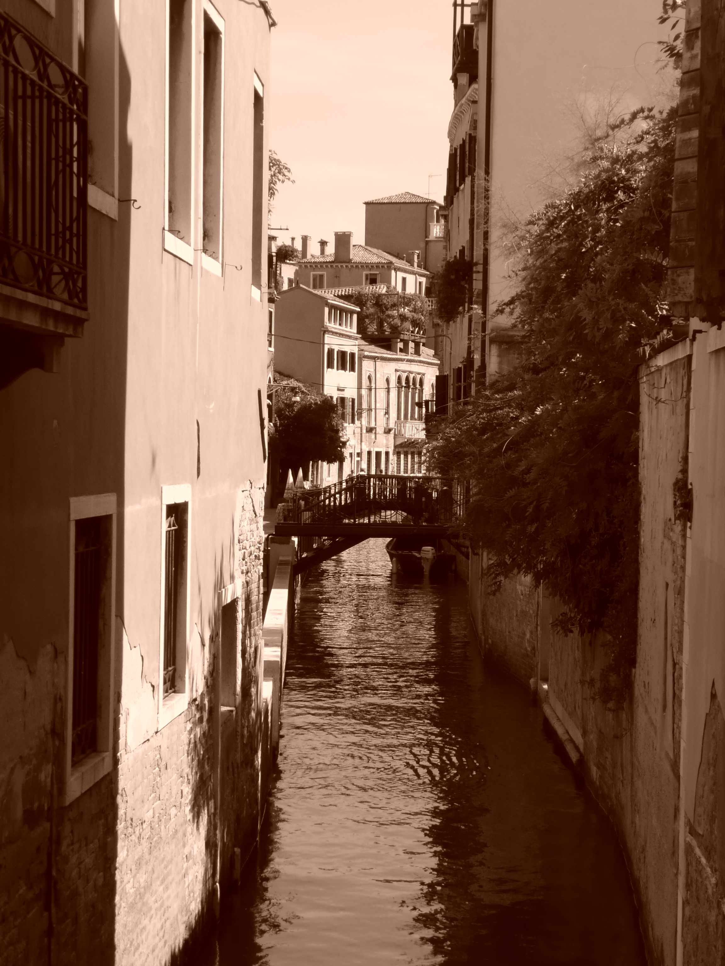 Venise s&eacute;pi