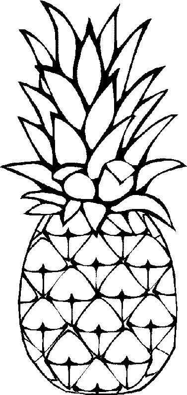 ananas2