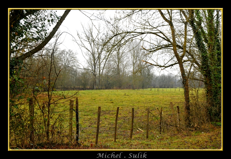 DSC_0876