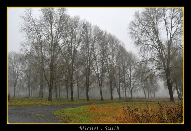DSC_1312_filtered