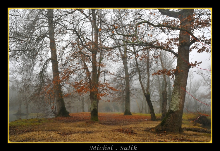 DSC_1316_filtered