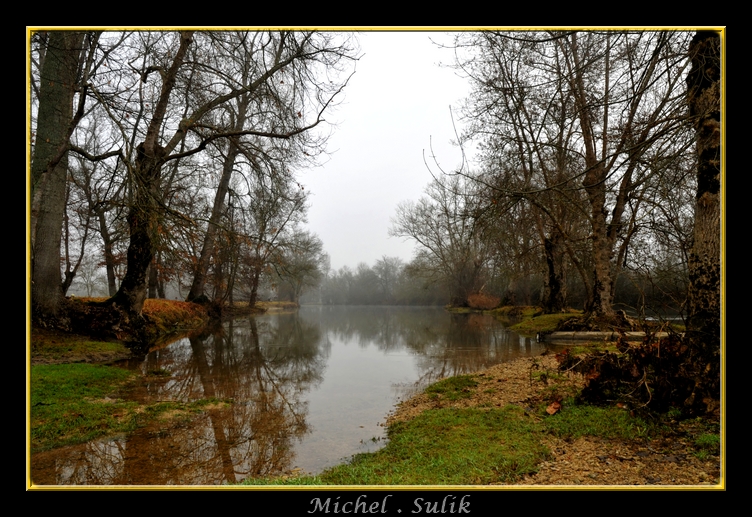 DSC_1333_filtered