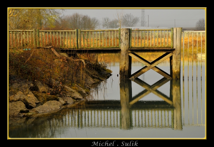 DSC_1350_filtered