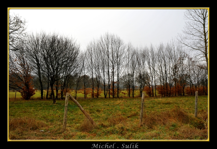 DSC_1420