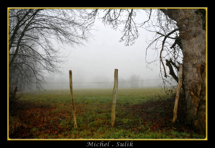 DSC_1470_filtered