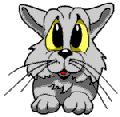 BONNE ANNEE 2009 07122911004290791558675