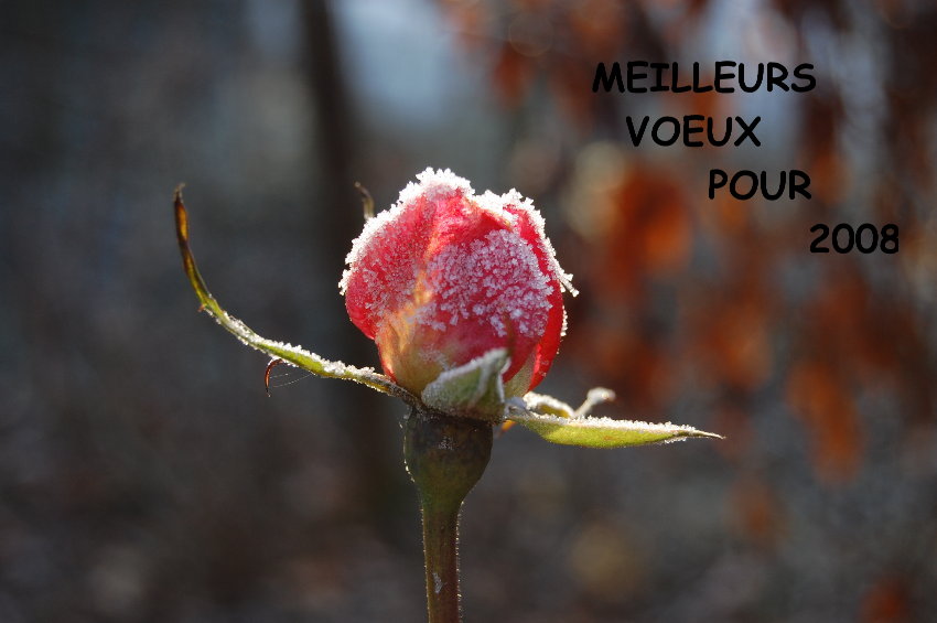 aa bonne ann&eacute;e