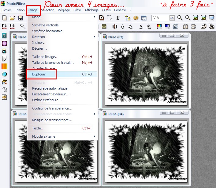 Dupliquer les images (AstuceMontage)