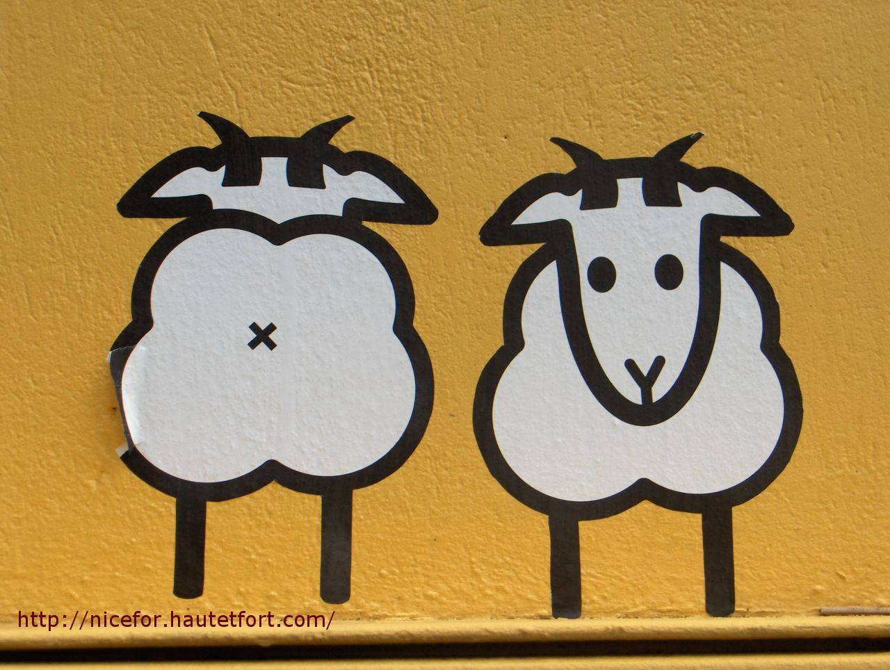 mur reykjavik
