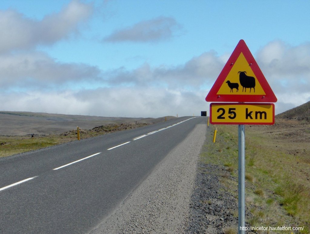 Route_1