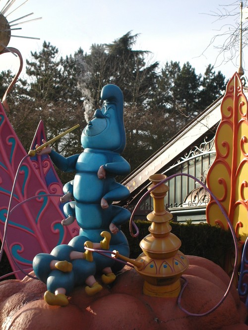 Image hébergée par Casimages.com : votre hébergeur d images simple et gratuit