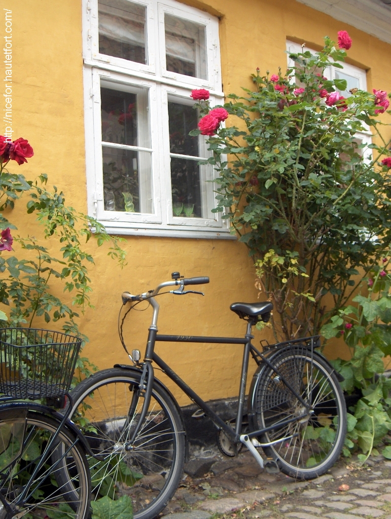 velo1569