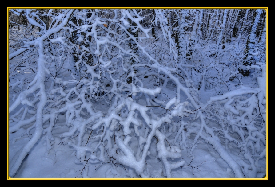 neige 800 013