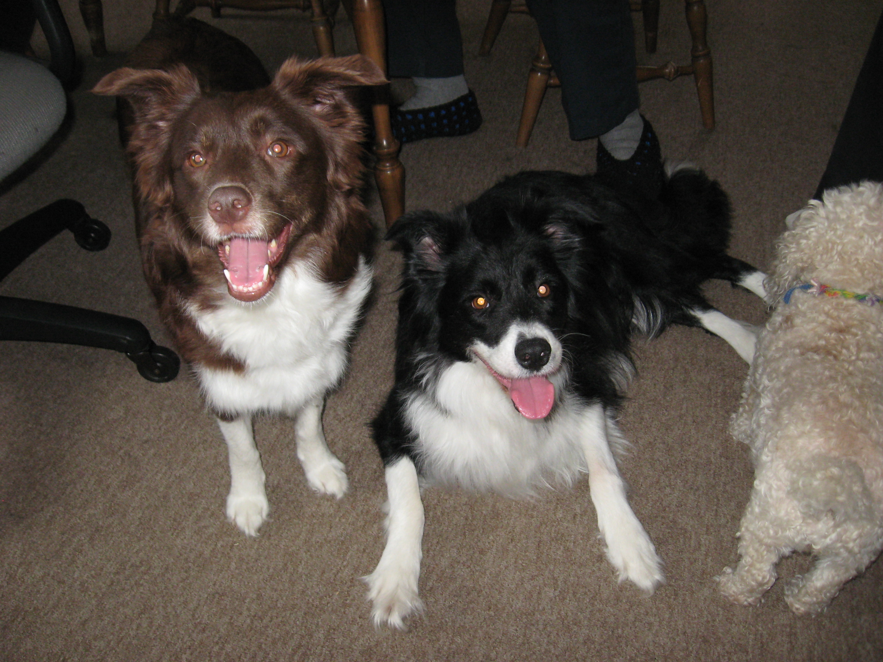 Mes photos a Moi 176