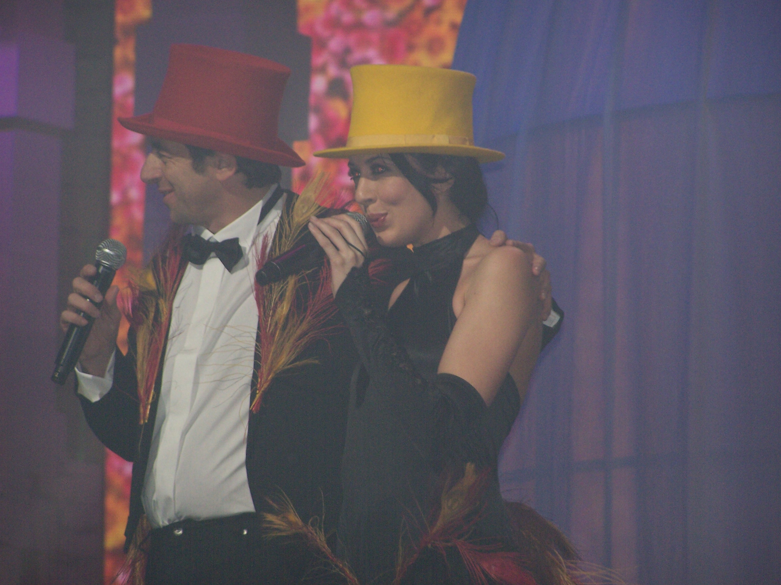 enfoires2008214ss1