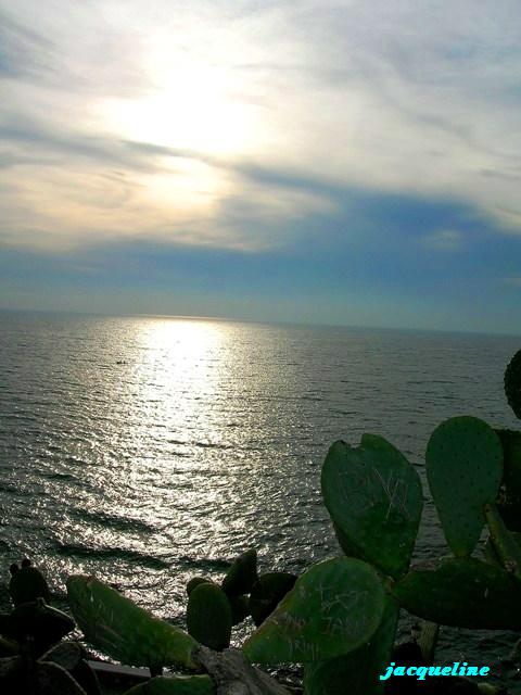 Copia di 2008-01-27_16-31-23