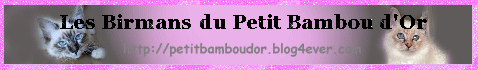 Banni&egrave;re Bambou dor&eacute;