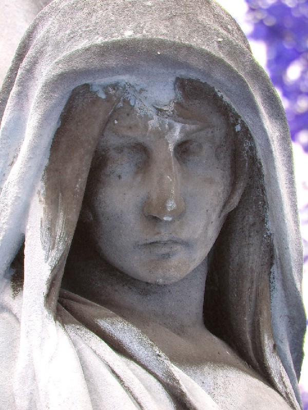 DSCF5166 2