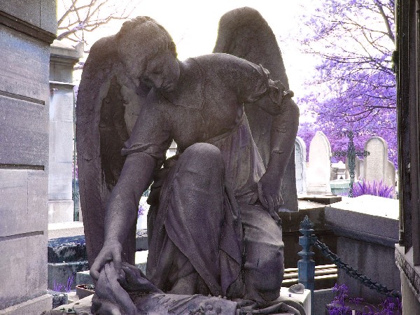 DSCF5178 2