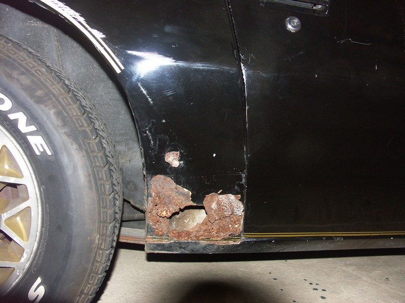 Aile Arrière Droite - Devant de roue